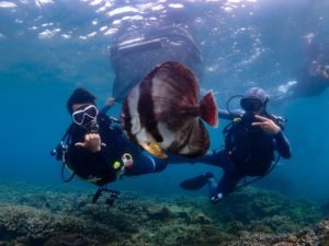 海洋活化12願景(以創意推動海洋復育，並邀請更多社區一同守護海洋)