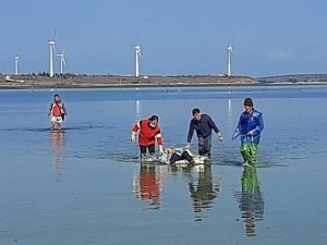 婦人拾貝意外 「向海洋致敬」夥伴合力救起