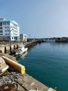 龍門港發現浮屍 證實為村內老婦