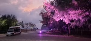 打造香榭大道 吉貝再增夜間景觀亮點